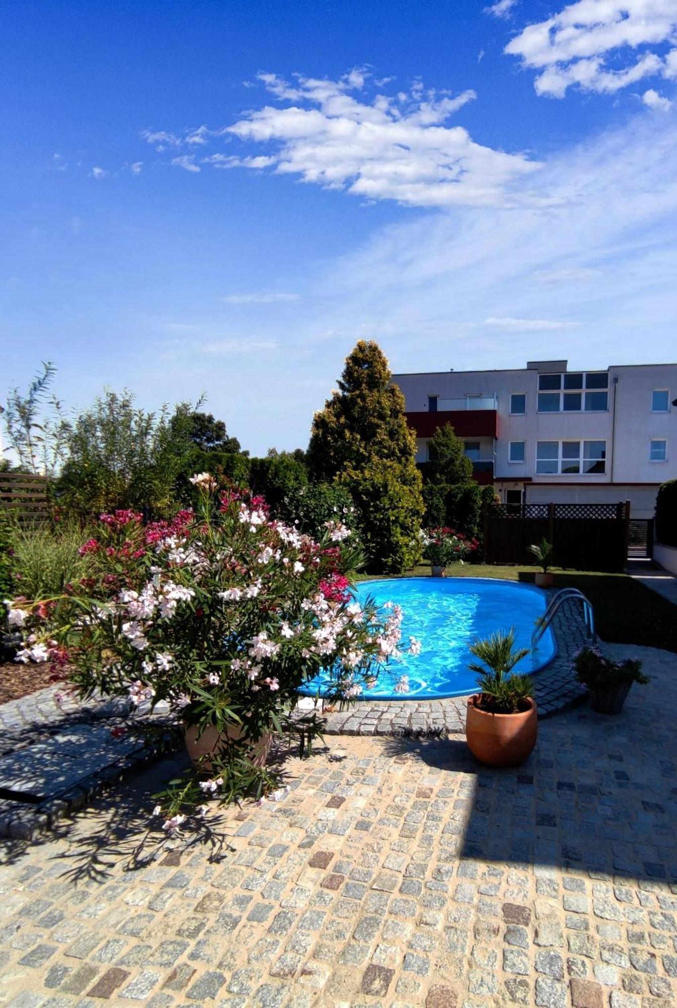 Appartement/Ferienhaus Sonnenhain Sollenau Buitenkant foto